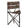 Tripod Stool with Backrest